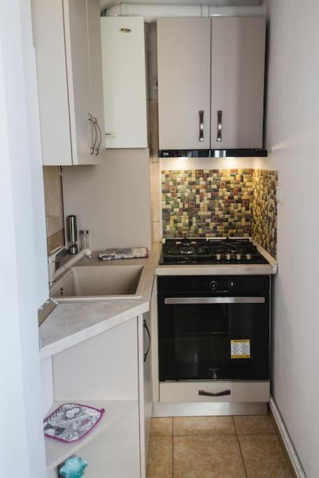2 Bedroom Apt Park Belvedere Sibiu Eksteriør bilde